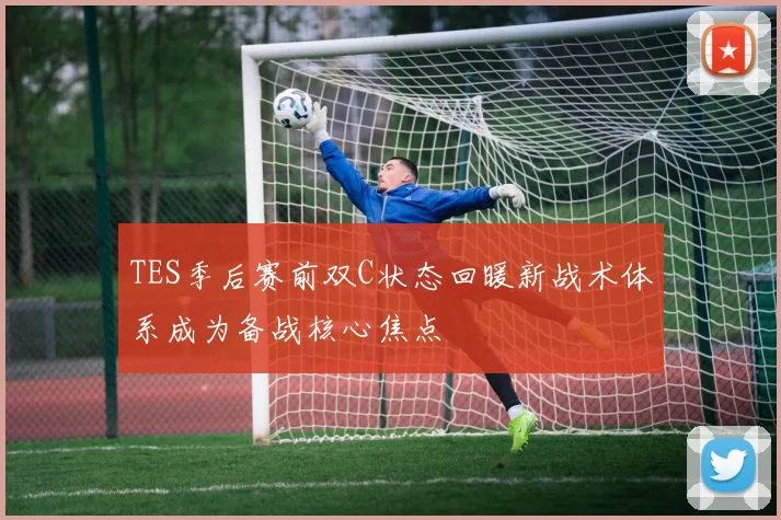 TES季后赛前双C状态回暖新战术体系成为备战核心焦点